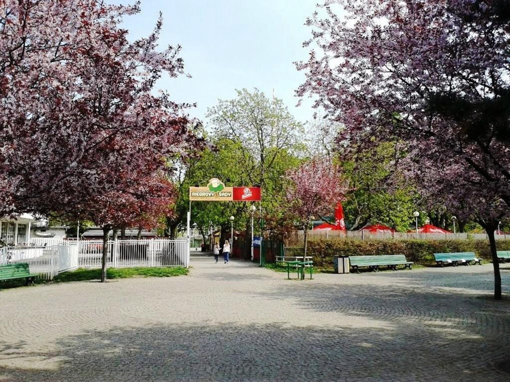 Modern Apartment Riegrovy Sady Praga Zewnętrze zdjęcie